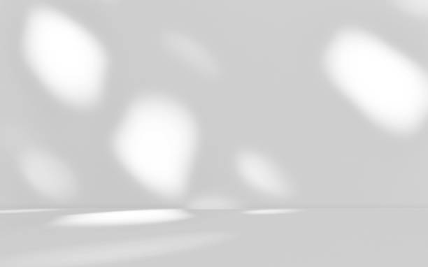 istock Empty gray room studio background with sunlight effect shadow of leaves on concrete wall and floor. 2174687334