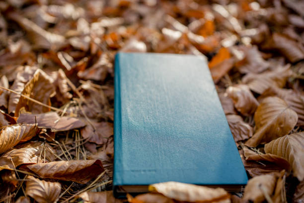 istock Retro Green Hardcover Book on Autumn Leaves in a Forest Setting 2174688288