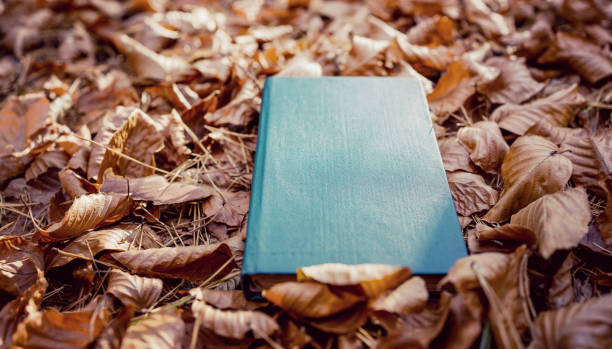 istock Retro Green Hardcover Book on Autumn Leaves in a Forest Setting 2174688582