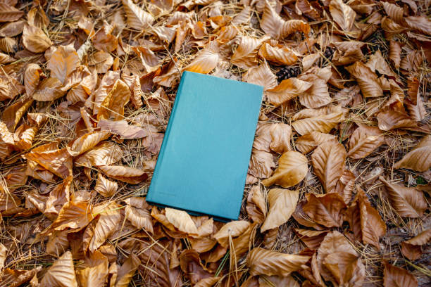 Close-Up of a Vintage Green Cloth-Covered Book on Dry Autumn Leaves in a Forest or Park