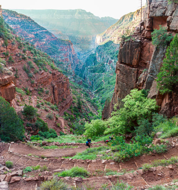 istock Hikers Descending The North Kaibab Trail 2174688834