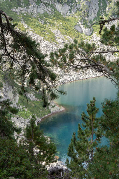 istock Beautiful vertical landscape composition between pines with a lake in the background of transparent emerald color in the Spanish Pyrenees. 2174689981