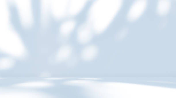 istock Empty blue room studio with shadow of leaves on concrete wall and floor for product presentation. 2174691546