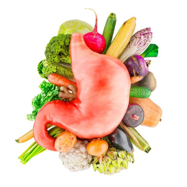 istock Vegetables for stomach. Healthy food for Digestive System concept. 3D rendering 2174707962