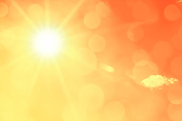 Bright sun with beautiful beams and bokeh light in the sky. Toned image, space for copy.