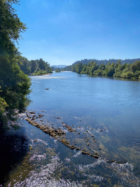 Scenic view of Willamette River in Eugene, Oregon, USA