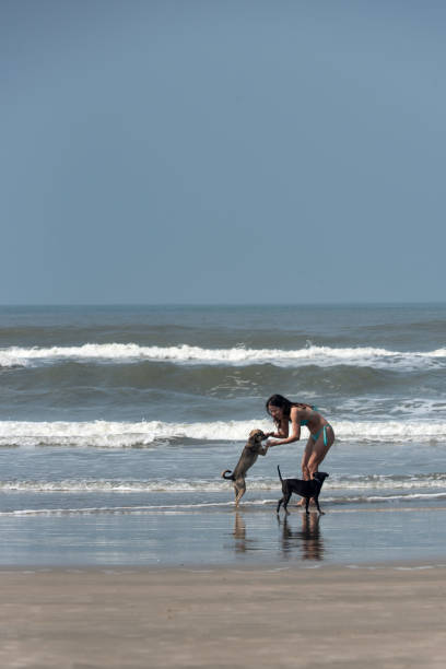 Young woman with her dogs on a beach in Brazil