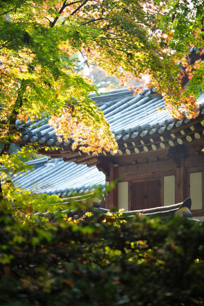 istock Seoul Autumn Morning 2174715419