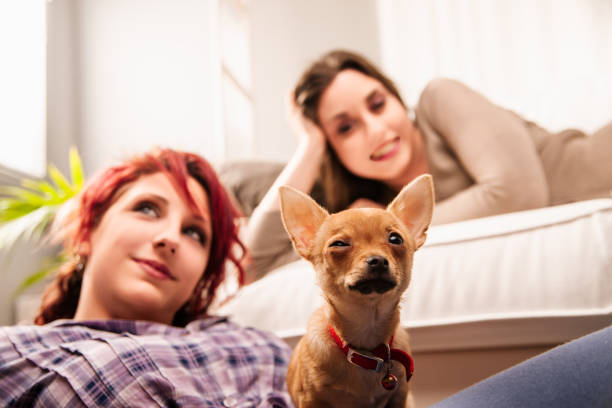 Comical puppy expression loved by two women