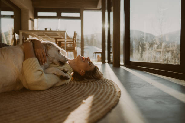 istock Winter in a cabin house 2174723922