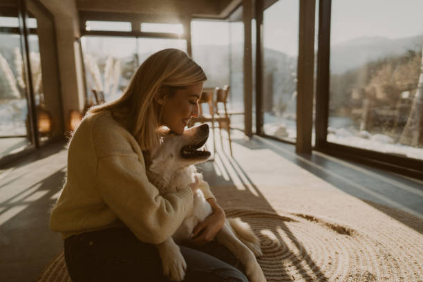 istock Winter in a cabin house 2174723950