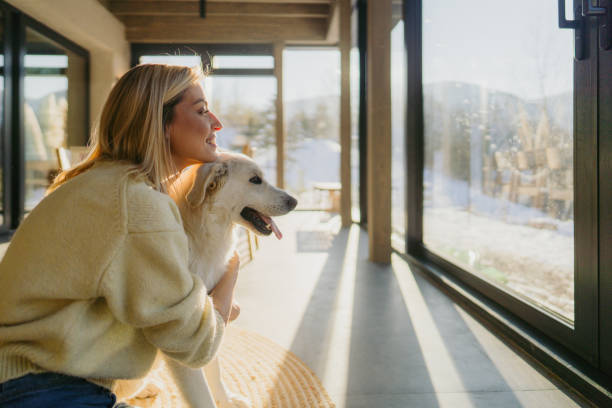 istock Winter in a cabin house 2174724013