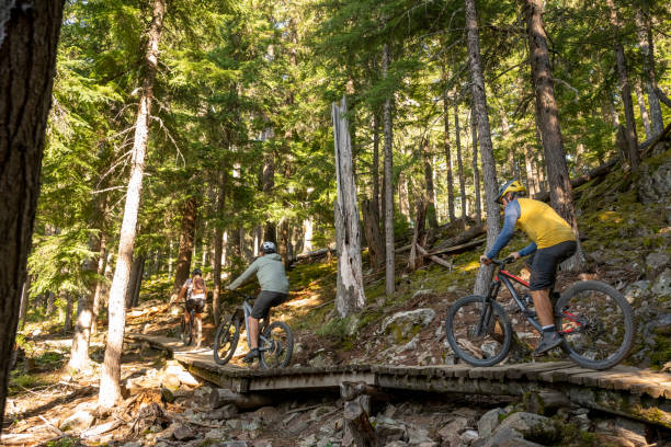 istock Mountain bikers ride across boardwalk through forest 2174734096
