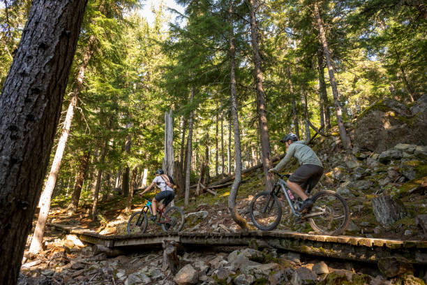 istock Mountain bikers ride across boardwalk through forest 2174734129