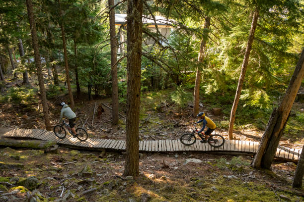 istock Mountain bikers ride across boardwalk through forest 2174734231