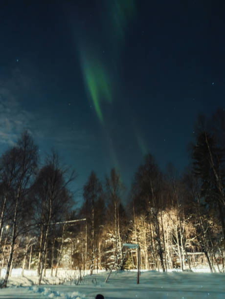 istock Aurora borealis above snowy forest in Rovaniemi, Lapland 2174736594