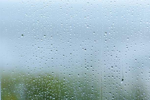 Droplets of rain cling to a window, distorting the view of lush greenery beyond. The atmosphere feels wet and cool, indicative of a rainy day.