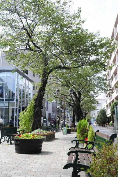 istock Sayama Greenway in Jiyugaoka 2174744432