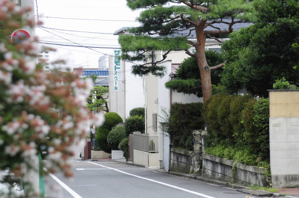 istock Residential area in Todoroki 2-chome, Setagaya Ward 2174744555