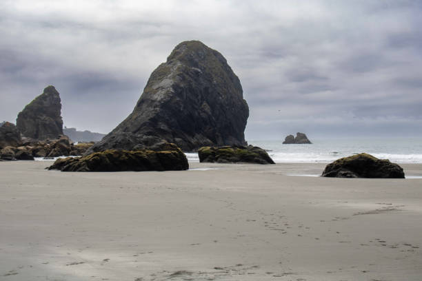 istock Pacific Coast highway route 101 Oregon 2174749590