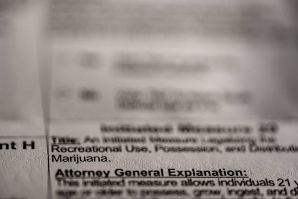Selective focus on ballot text to legalize marijuana . High quality photo