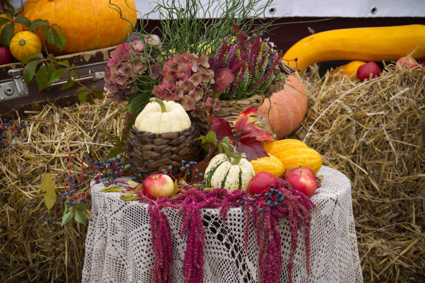 A rustic display of autumn harvest featuring various pumpkins, gourds, and colorful flowers arranged on a lace tablecloth. The backdrop includes hay bales, enhancing the seasonal theme.