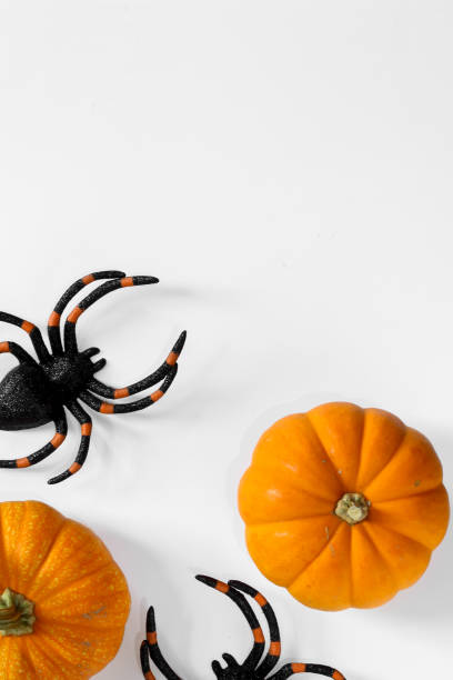 istock Flat lay of Halloween spiders and pumpkins on white background 2174753940