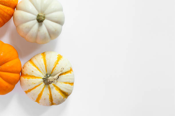 istock Top down image of fall pumpkins on white background 2174753947