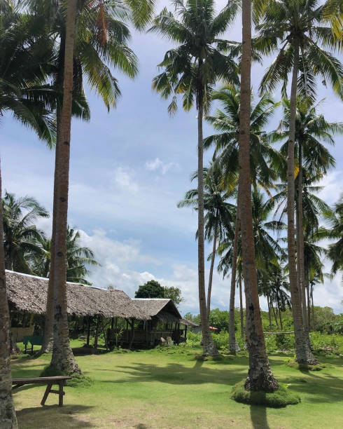 istock Tropical Palm Grove with Traditional Thatched Hut 2174754194