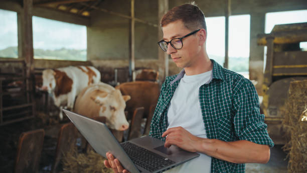 Tech-Savvy Caucasian Farmer at Work in Cow Barn