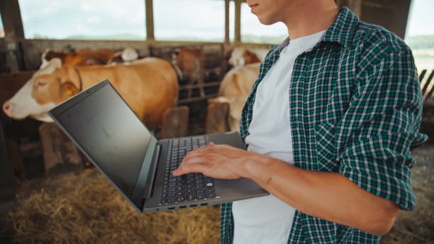 istock Caucasian Farmer Managing Dairy Herd with Laptop 2174755856