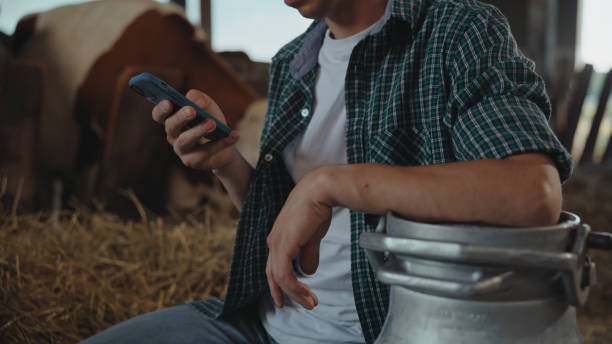 istock Caucasian Farmer Using Smartphone in Cow Barn 2174755887