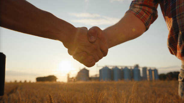 istock Caucasian Farmers Handshake in Wheat Field 2174756105