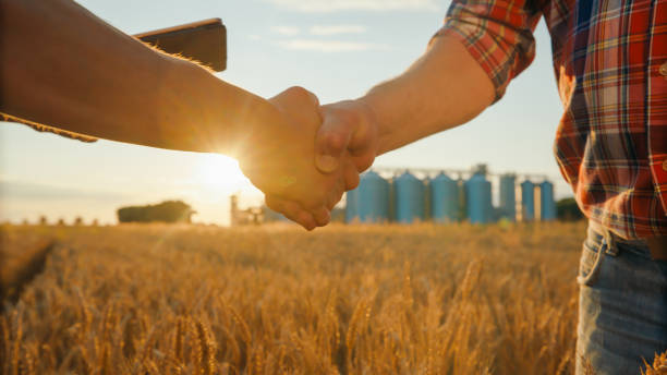 Caucasian Farmers Handshake in Wheat Field