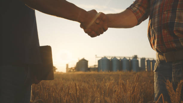 istock Caucasian Farmers Handshake in Wheat Field 2174756115