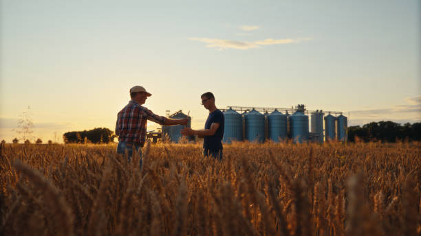 istock Caucasian Farmers with Tablet in Sunset Wheat Field 2174756117