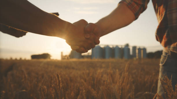 istock Caucasian Farmers Handshake in Wheat Field 2174756128