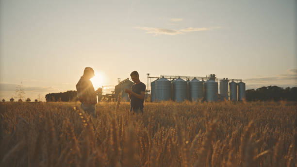 istock Caucasian Farmers Analyzing Crop Data in Wheat Field at Sunset 2174756131