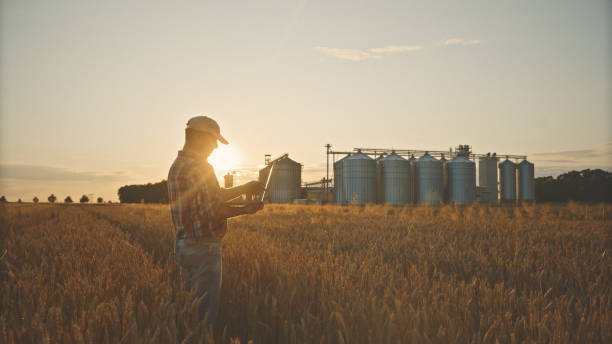 istock Mature Caucasian Farmer Evaluates Wheat Field with Tablet 2174756142