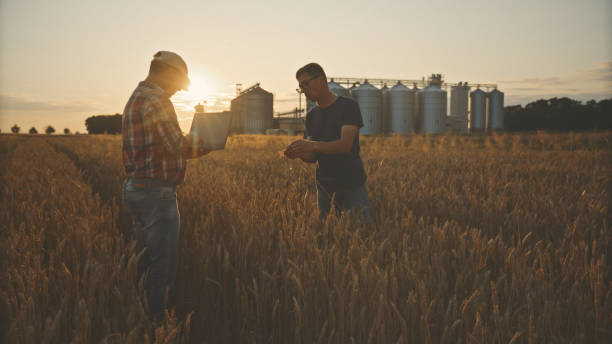 istock Caucasian Farmers Analyzing Crop Data on Tablet in Golden Wheat Field 2174756168