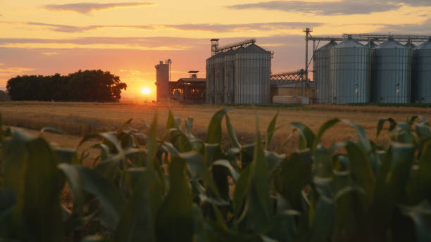 Idyllic rural agricultural landscape with dramatic sky at dawn.