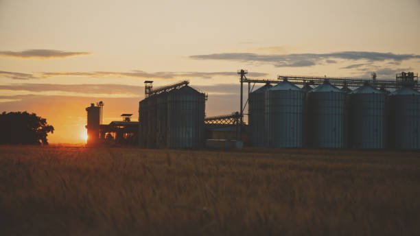 istock Golden Sunset Behind Rural Silo and Wheat Field 2174756325