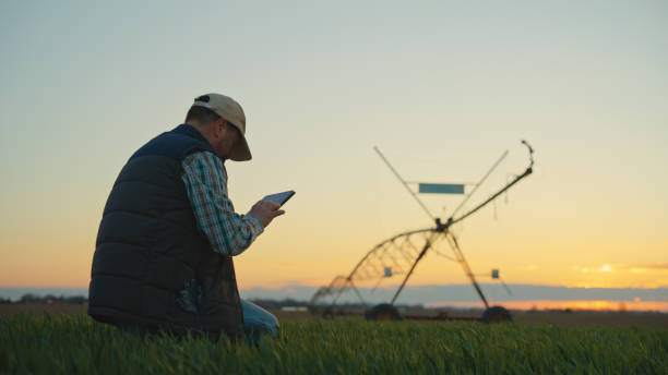 istock Caucasian Farmer Adjusting Irrigation with Tablet at Sunset 2174757621