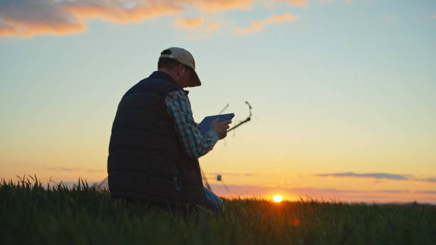 istock Tech-Savvy Farmer Implements Irrigation at Dusk 2174757638