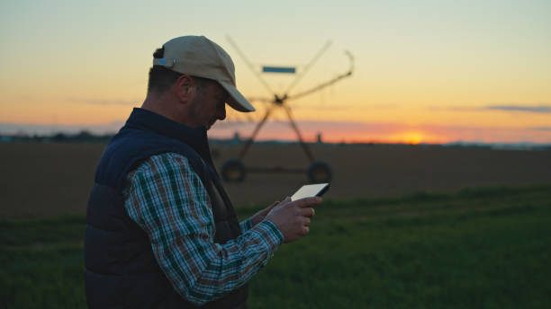 istock Agricultural Expertise at Dusk 2174757639
