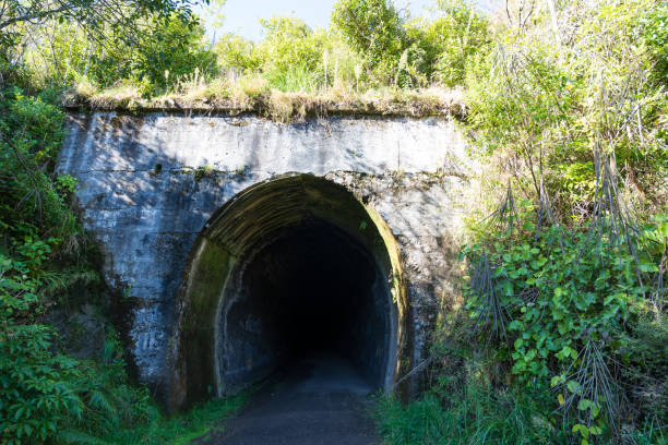 istock Hapuawhenua tunnel along the Old Coach Road cycle trail 2174759945