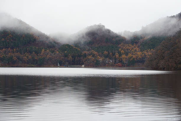 On a cloudy morning in November 2023, Lake Haruna is shrouded in mist in autumn in Harunako Town, Takasaki City, Gunma Prefecture.