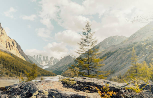 istock stone slab in autumn mountains 2174764042