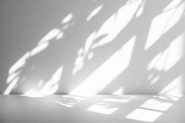 istock Wall interior background, studio and backdrops show products.with shadow from window color white . background for text insertion and presentation product 2174765669