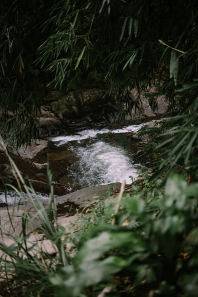 istock a river estuary that is not deep with clear water 2174765722